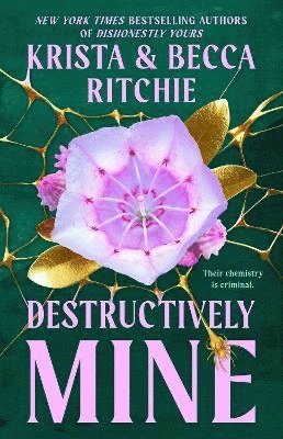 Krista Ritchie, Becca Ritchie - Destructively Mine, Häftad