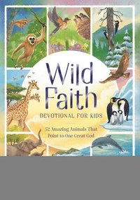 bokomslag Wild Faith Devotional for Kids: 52 Amazing Animals That Point to One Great God