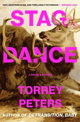 bokomslag Stag Dance: A Novel & Stories