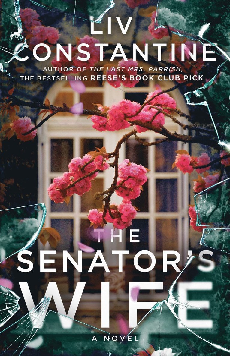 Senator's Wife