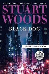 bokomslag Black Dog