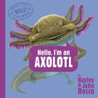 bokomslag Hello, I'M An Axolotl (Meet The Wild Things, Book 4)