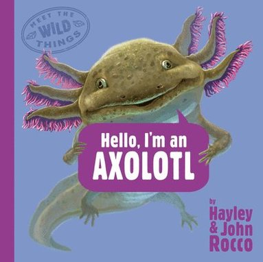 bokomslag Hello, I'm an Axolotl (Meet the Wild Things, Book 4)