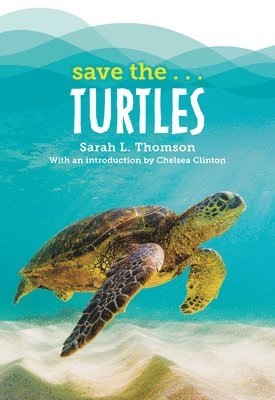 bokomslag Save The...Turtles