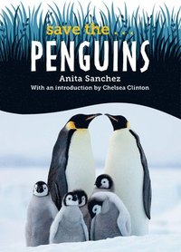 bokomslag Save The... Penguins