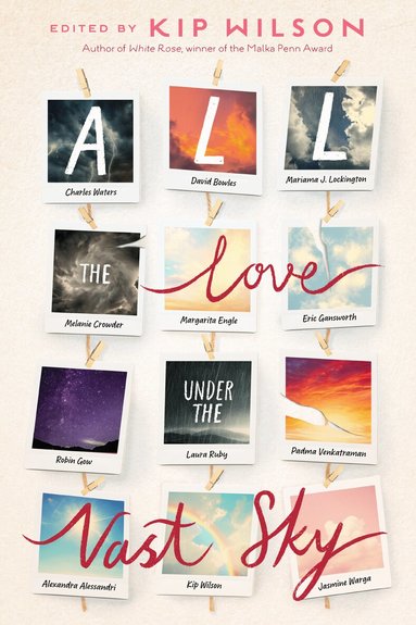 Alexandra Alessandri, David Bowles, Melanie Crowder, Margarita Engle, Eric Gansworth, Robin Gow, Mariama J. Lockington, Laura Ruby, Padma Venkatraman, Jasmine Warga, Charles Waters, Kip Wilson, Kip Wilson - All the Love Under the Vast Sky, Inbunden