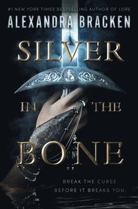 bokomslag Silver in the Bone