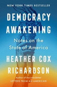 bokomslag Democracy Awakening