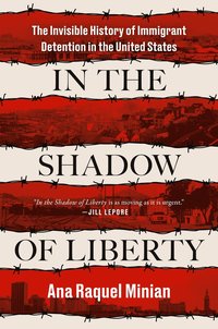bokomslag In the Shadow of Liberty