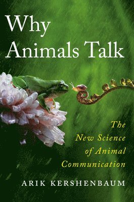 bokomslag Why Animals Talk: The New Science of Animal Communication