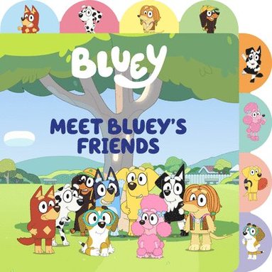 bokomslag Meet Bluey's Friends