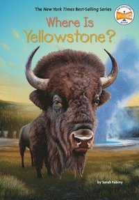 bokomslag Where Is Yellowstone?