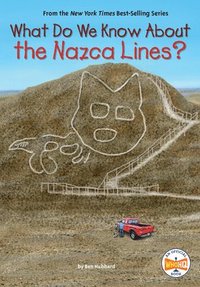 bokomslag What Do We Know About the Nazca Lines?