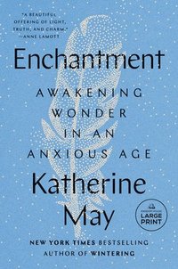 bokomslag Enchantment: Awakening Wonder in an Anxious Age