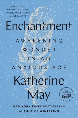 bokomslag Enchantment: Awakening Wonder in an Anxious Age