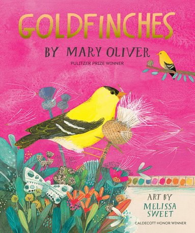 Mary Oliver - Goldfinches, Inbunden