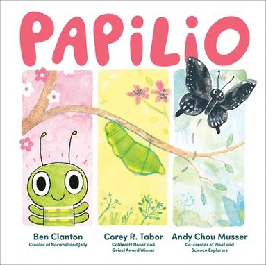 Ben Clanton, Corey R. Tabor - Papilio, Inbunden