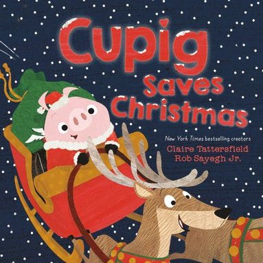 bokomslag Cupig Saves Christmas