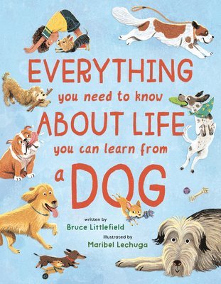 Everything You Need to Know about Life You Can Learn from a Dog