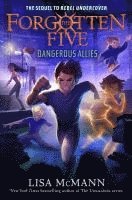 bokomslag Dangerous Allies (The Forgotten Five, Book 4)