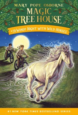 Mary Pope Osborne, A.G. Ford - Windy Night with Wild Horses, Häftad