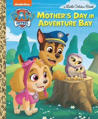 Matt Huntley - Mother's Day in Adventure Bay (Paw Patrol), Inbunden