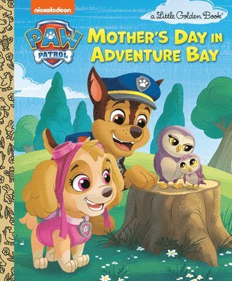 bokomslag Mother's Day in Adventure Bay (Paw Patrol)