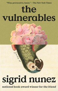 bokomslag The Vulnerables: A Novel