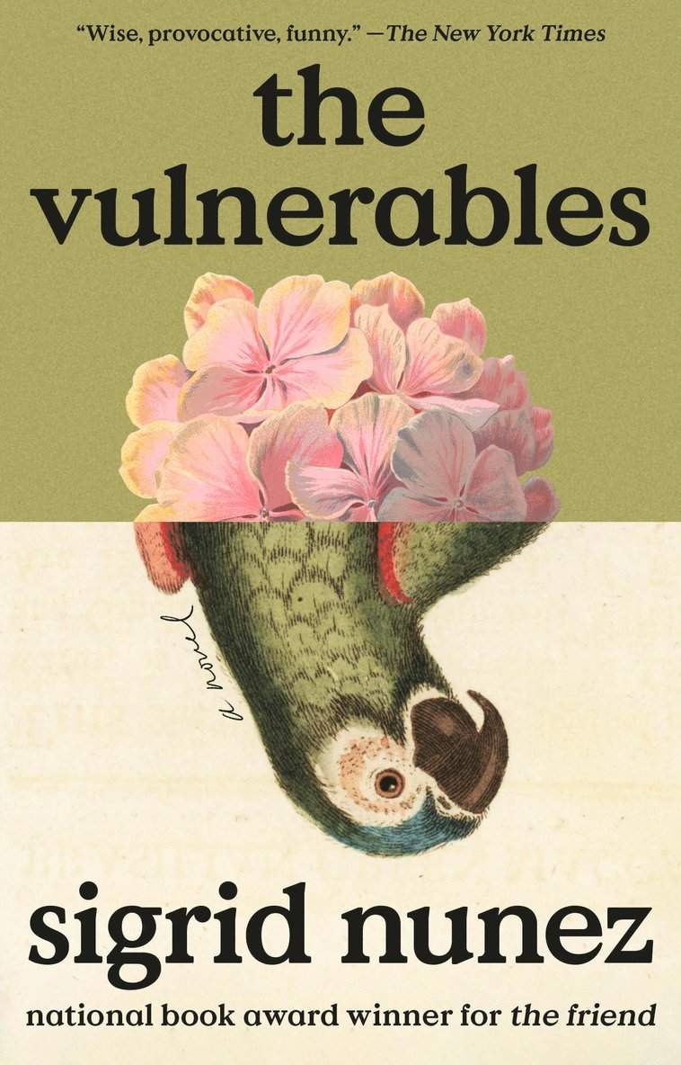 The Vulnerables 1