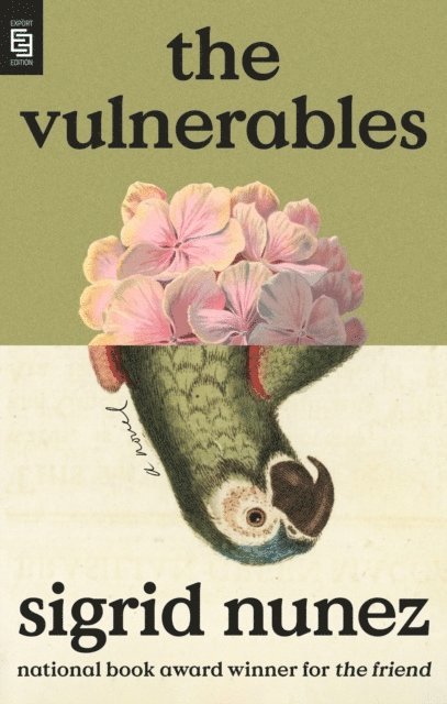 The Vulnerables 1