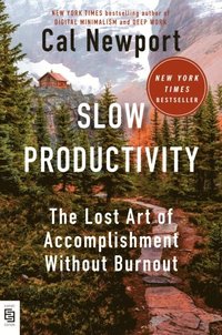 bokomslag Slow Productivity
