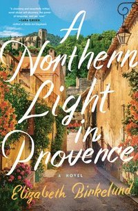 bokomslag A Northern Light in Provence