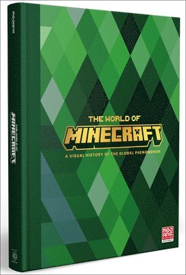 bokomslag The World of Minecraft