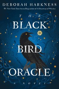bokomslag The Black Bird Oracle
