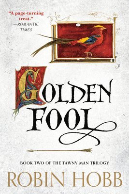 bokomslag Golden Fool