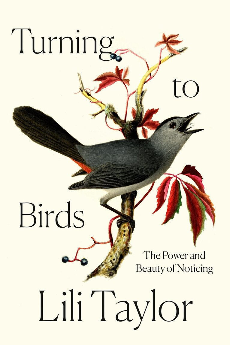 Lili Taylor - Turning to Birds: The Power and Beauty of Noticing, Inbunden