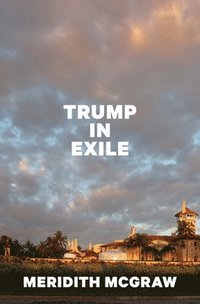 bokomslag Trump in Exile