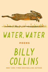 bokomslag Water, Water: And Other Poems