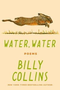 bokomslag Water, Water: Poems