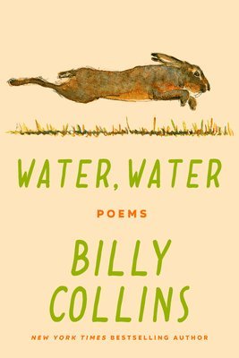 bokomslag Water, Water: Poems