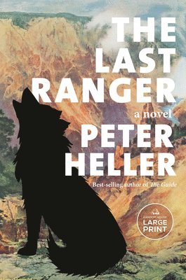 The Last Ranger 1