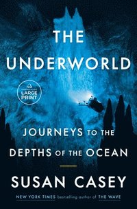 bokomslag The Underworld: Journeys to the Depths of the Ocean