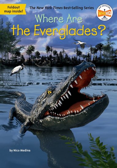 Nico Medina, Who HQ - Where Are the Everglades?, Häftad