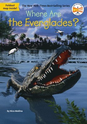 Where Are the Everglades?