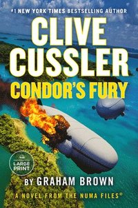bokomslag Clive Cussler Condor's Fury