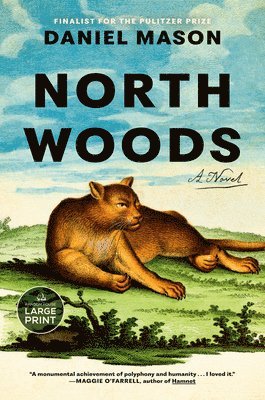 North Woods 1