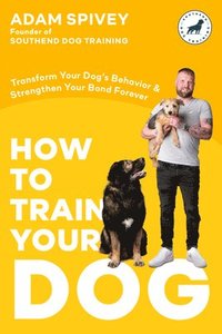 bokomslag How To Train Your Dog
