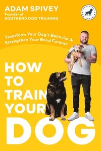 bokomslag How to Train Your Dog