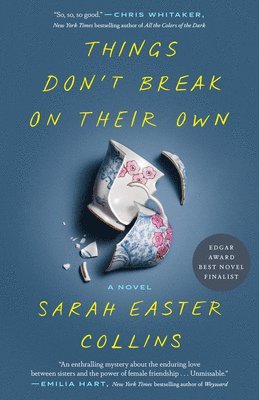 Sarah Easter Collins - Things Don't Break on Their Own, Häftad