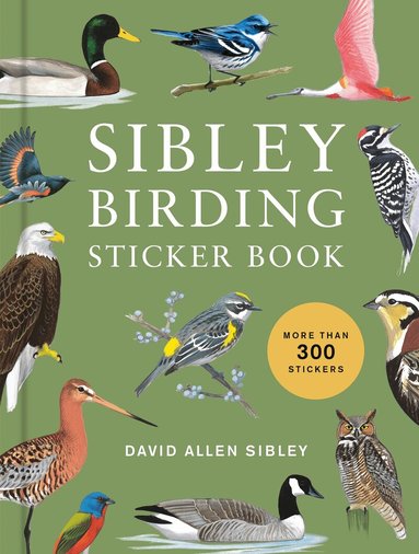 David Allen Sibley - Sibley Birding Sticker Book, Inbunden